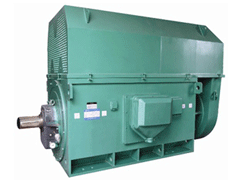 东山Y系列6KV高压电机